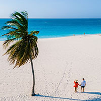 Beach Vacations